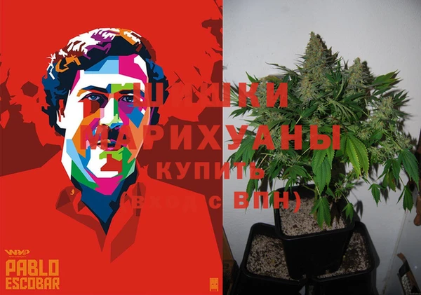 бошки Белокуриха