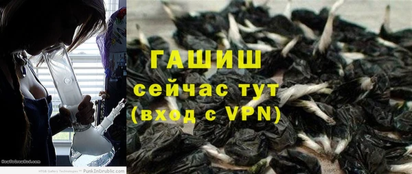 бошки Белокуриха