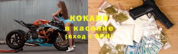 бошки Белокуриха