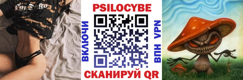 Псилоцибиновые грибы GOLDEN TEACHER Воскресенск